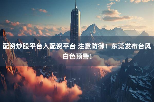 配资炒股平台入配资平台 注意防御！东莞发布台风白色预警！