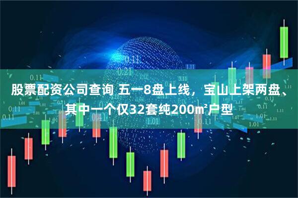 股票配资公司查询 五一8盘上线，宝山上架两盘、其中一个仅32套纯200㎡户型