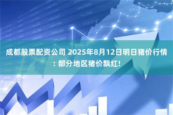 成都股票配资公司 2025年8月12日明日猪价行情: 部分地区猪价飘红!